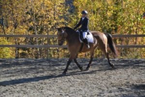 Klubbmesterskap på Skaga